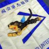 Large American Volunteer Group Banner & Documents - Image 3