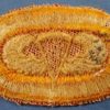 1950's 88th Anti Aircraft Battalion (Airborne) Oval - Image 2