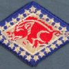 Arkansas National Guard Patch