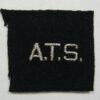 WWII Army Transport Service Collar Insignia