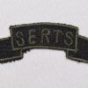 SERTS Screaming Eagle Replacement Training School Scroll