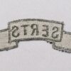 SERTS Screaming Eagle Replacement Training School Scroll - Image 2