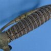 Etched GAR Civil War Veteran Sword of Massachusetts "Fletcher Webster Post 13" by Ames - Image 9