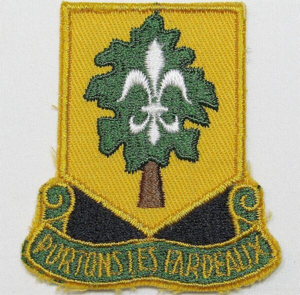 101st Support Battalion Patch