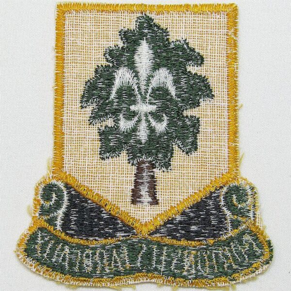 101st Support Battalion Patch - Image 2