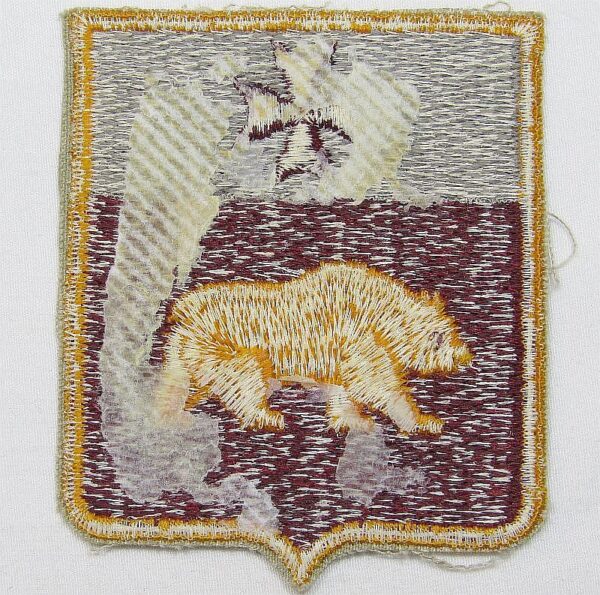 1st Medical Battalion Patch - Image 2