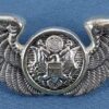 U.S. Air Force Air Crew Wing by J. Balme of France
