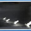 Large WWII 8 Inch by 10 Inch Official U.S. Army Signal Corps Photograph: South African Artillery Launch a Night Firing Action in Italy