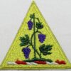 Connecticut National Guard Patch
