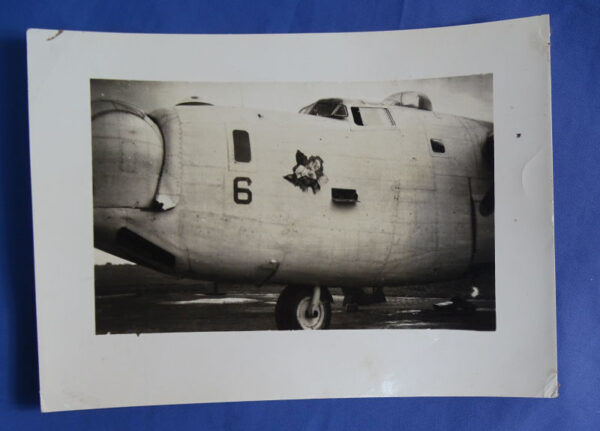 WWII B-24 Nose Art Photograph 5 x 7"