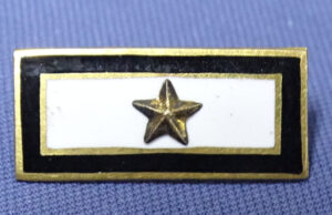 WWI Son In Service Gold Star Black Border 10K Pin