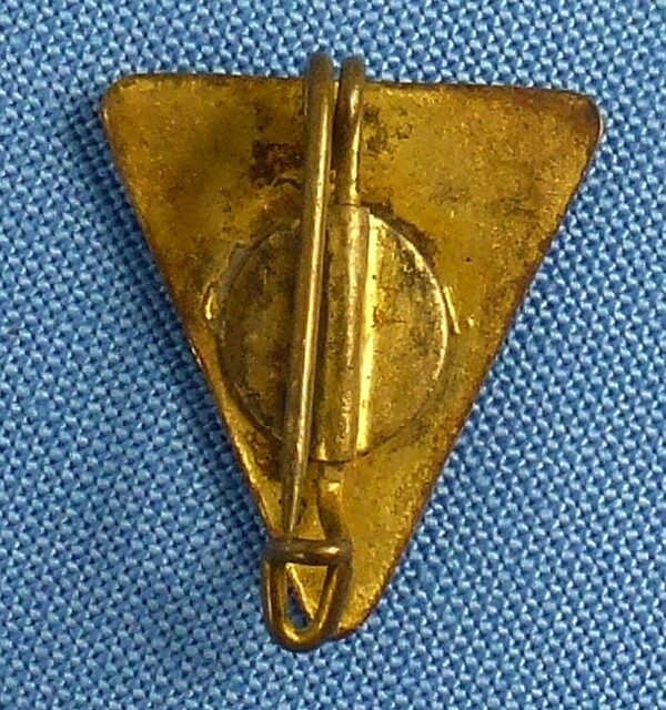 Small National Socialist Frauenschaft Member Badge - Image 2