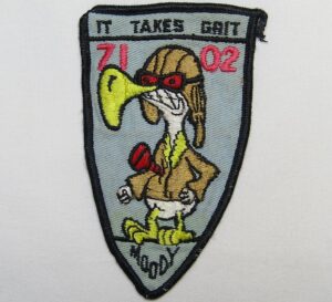 71-02 Moody AFB Patch