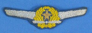 WWII Japanese Army Pilot Wing