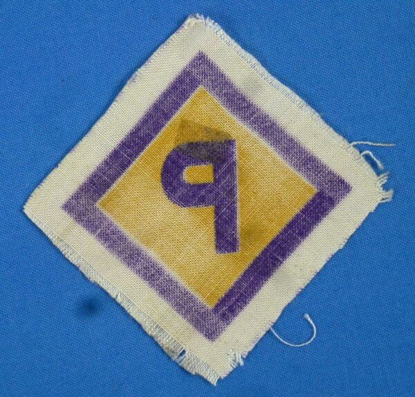 German Sleeve Cloth Insignia for Polish Forced Workers - Image 2