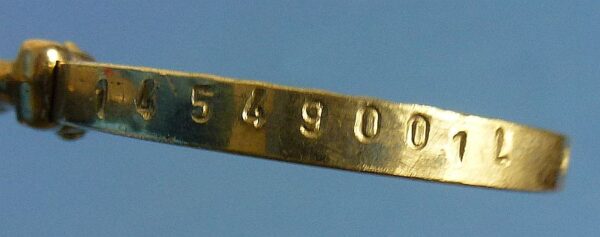 India Operation Vijay War with Pakistan Service Medal - Image 4