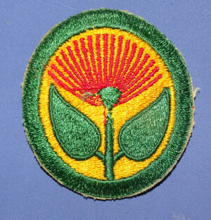 WWII Hawaiian Coastal Defense Patch