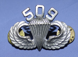Vietnam Era 509th Airborne Numbered Jump Wings