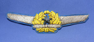 WWII Japanese Pilot's Wings