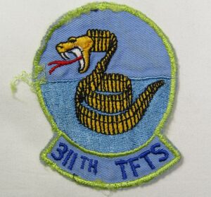 311th Tactical Fighter Training Squadron Patch