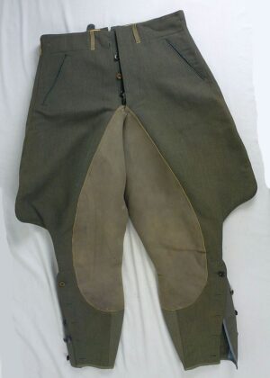 WWII German Army Mounted Officer Breches