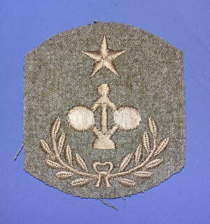 WWI Coast Artillery Corps Engineer Chevron