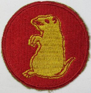 205th - 206th Infantry Regiment Patch - Fully Embroidered