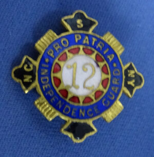 Pre WWI 12th New York Enameled Lapel Pin
