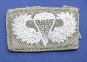 Vietnam Era Cloth Jump Wings