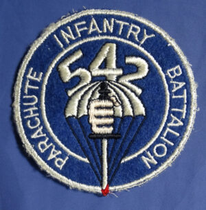 WWII 542nd Airborne Parachute Infantry Battalion 4 inch Patch