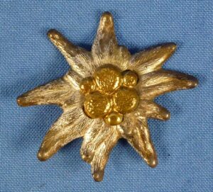 Imperial German Edelweiss Pin Back Badge