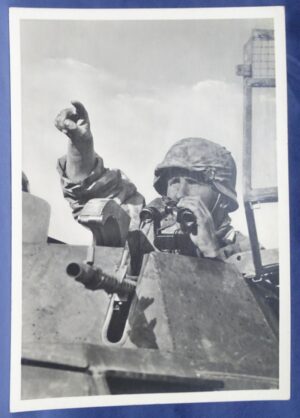 Waffen SS Panzer Greifen Postcard