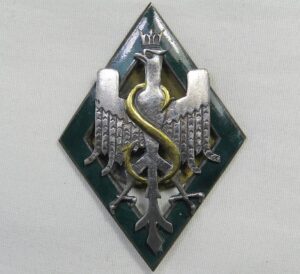 Polish Regimental Badge