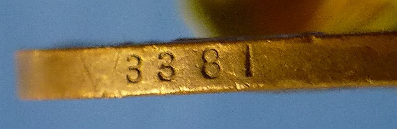Identified Spanish American War Campaign and Veteran Medals Group - Image 9