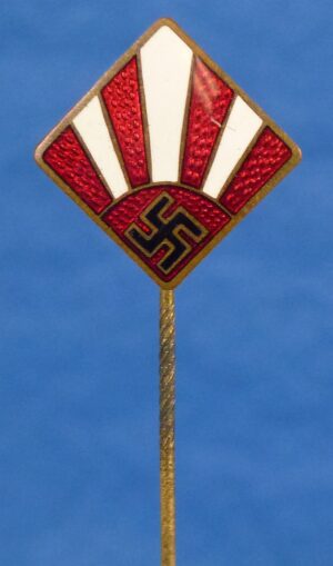 National Association for Gymnastics and Sports Coaches Stickpin