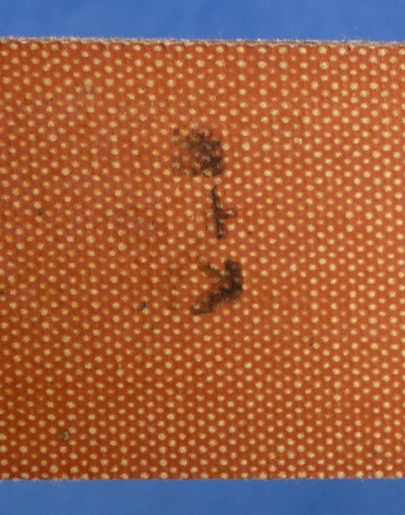 Mint WWII Japanese Rubberized Canvas Arisaka Rifle Sling - Image 2